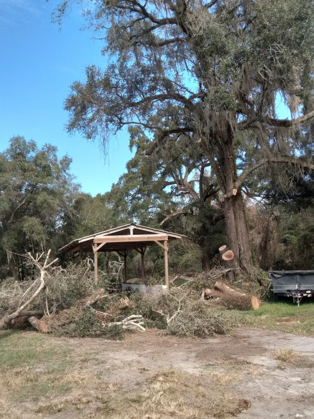 Yard covered in storm-fallen limbs and debris around a gazebo